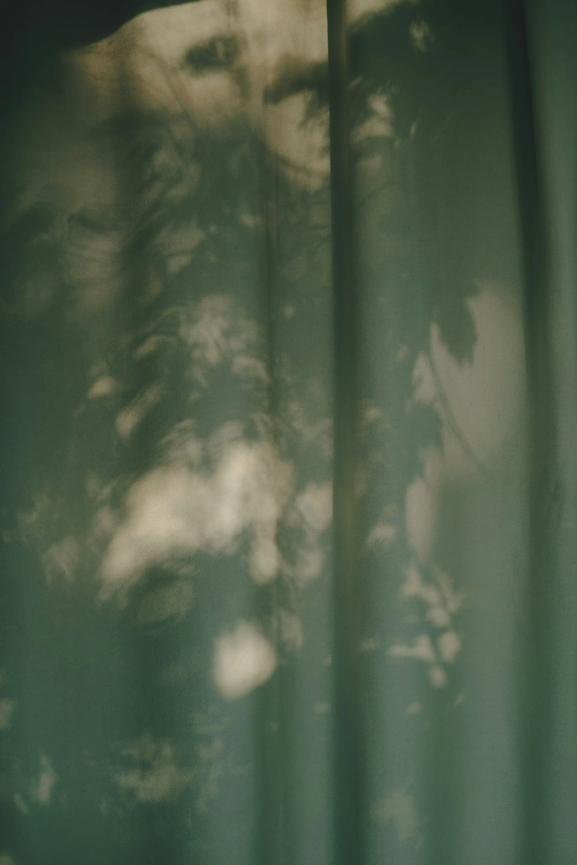 Soft shadows of leaves and flowers falling across sheer green curtains